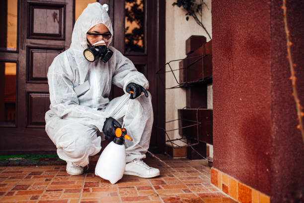 Reliable Cockroach Control contractor in Buena Vista, GA by Nex Pest Control