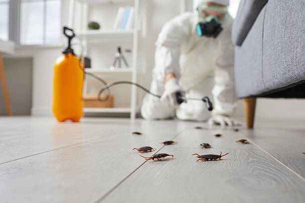 Trusted Fumigation Services service in Buena Vista, GA - Nex Pest Control