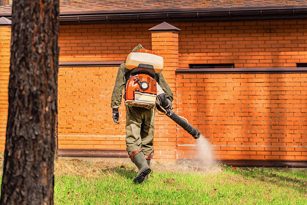 Trusted Emergency Pest Control service in Buena Vista, GA - Nex Pest Control